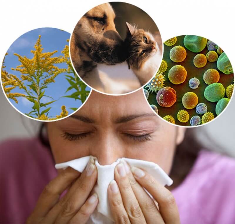 Аллергия: симптомы и лечение, формы аллергических реакций, причины ...
